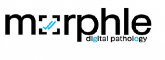 Machine Operations Internship at Morphle Technologies Private Limited in Bangalore