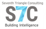  Internship at Seventh Triangle Consulting in 