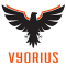Full Stack Development Internship at Vyorius in 