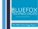 IT Recruitment Internship at Bluefox Technologies in 
