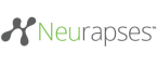  Internship at Neurapses Technologies in 