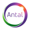 Marketing Internship at Antal International Network in Pune