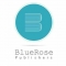  Internship at Blue Rose Publishers in 