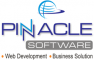 Product Marketing Internship at Pinnacle Software in Chandigarh, Delhi, Gurgaon, Pune, Mumbai, Nagpur, Nashik, Bangalore