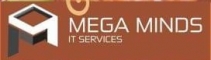 Subject Assignments Assistance Internship at Megaminds IT Services in 