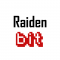  Internship at Raidenbit Interactive Private Limited in 