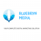 Web Development Internship at Bluebryn Media in 