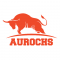  Internship at Aurochs Software Private Limited in Pune