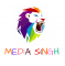 Social Media Marketing Internship at Media Singh in Delhi