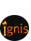 Web Development Internship at Ignis Tech Solutions in 
