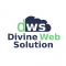 Web Development Internship at DIVINE WEB SOLUTION in Delhi