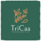 Software Testing Internship at TriCaa in 