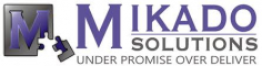 Teaching (MERN) Internship at Mikado Solutions in 