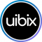 Business Development & Growth Marketing Internship at Uibix in 