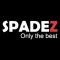 Full Stack Development Internship at Spadez Solutions Private Limited in Mohali