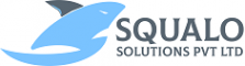  Internship at SQUALO SOLUTIONS PRIVATE LIMITED in 