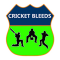 Graphic Design Internship at Cricket Bleeds in Hyderabad