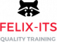  Internship at Felix IT Systems in Pune