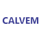 Embedded System Development Internship at Calvem Energy Private Limited in Delhi