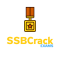 Online Teaching (General Studies and Polity) Internship at SSBCrackExams in 