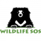  Internship at Wildlife SOS in Delhi