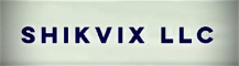 Blockchain Sector Research Internship at Shikvix LLC in 