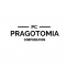 Content Writing Internship at Pragotomia Corporation in 