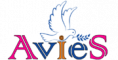 Web Development Internship at AVIES in Vijayawada