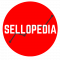 Google Ads Marketing Internship at Sellopedia in 