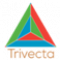  Internship at Trivecta Digital Solutions Private Limited in Chennai