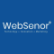 WordPress Development Internship at WebSenor InfoTech in Udaipur