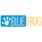 Graphic Design Internship at Blue Frog Solutions Private Limited in Delhi