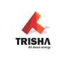  Internship at Trisha Infrastructure Limited in Vadodara