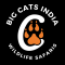 Web Development Internship at Big Cats India in 