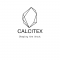 Graphic Design Internship at CalciteX Cybernetics LLP in 
