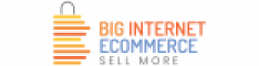 E-Commerce Sales Internship at Big Internet E-commerce Private Limited in 
