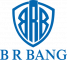 Digital Marketing Internship at B R BANG Private Limited in Indore