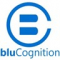 QA Engineering Internship at BluCognition Private Limited in 