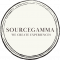 Graphic Design Internship at SourceGamma Solutions in 