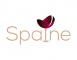 Guest Relationship Exceution Internship at Spaine Hospitality in Bangalore