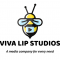 Music Producing And Music Composing Internship at VIVA LIP (OPC) PRIVATE LIMITED in 