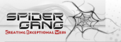 Content Writing Internship at Spider Gang Technologies in 