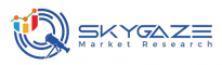 Research Internship at SKYGAZE MARKET RESEARCH in 