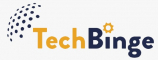 Digital Marketing Internship at TechBinge India Private Limited in Delhi