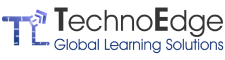  Internship at Techno Edge Global Learning Solutions in Pune