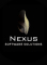  Internship at Nexus Software Solutions in 