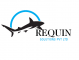  Internship at Requin Solutions Private Limited in Jaipur