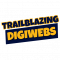  Internship at Trailblazing Digiwebs in 