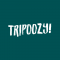 Travel & Tourism Internship at Tripoozy in 
