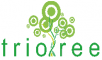  Internship at Triotree Technologies Private Limited in Noida